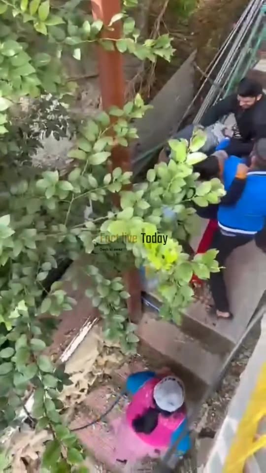 शिमला के खलीनी में आपसी कहासुनी इतनी बढ़ गई कि हाथापाई तक पहुंच गई, चले लात घूंस…