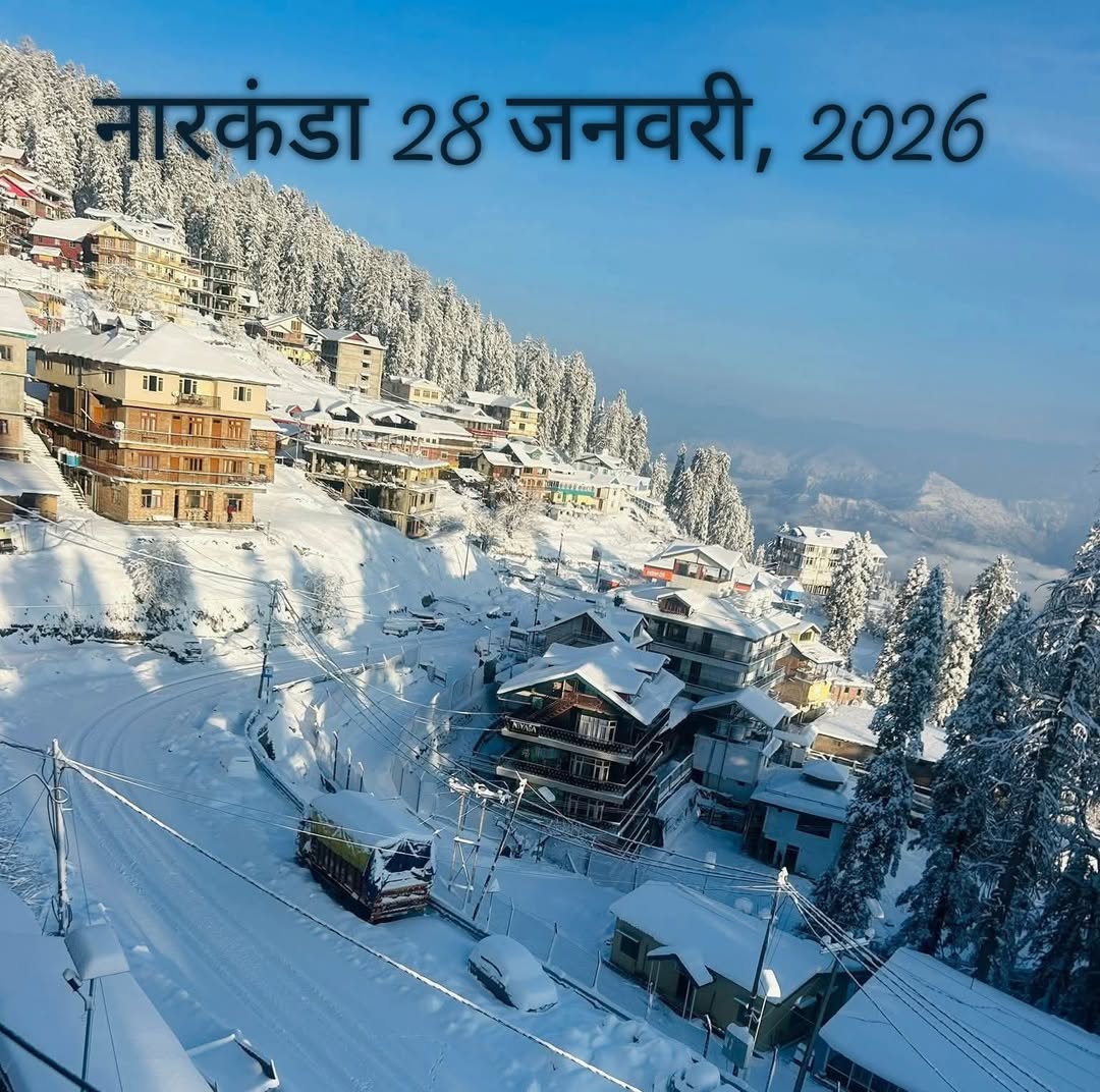 हिमाचल प्रदेश,नारकंडा, 28जनवरी, 2026 का छायाचित्र