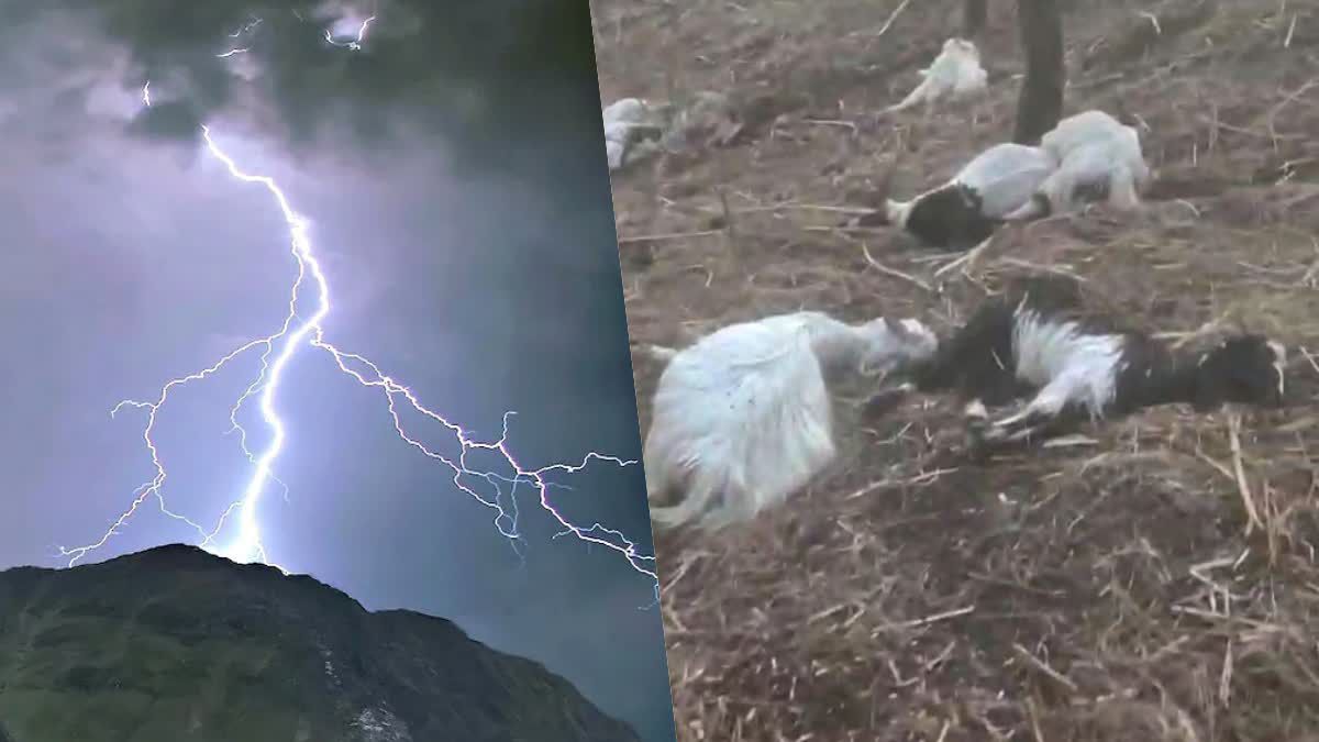 सोलन: हिमाचल में बीती रात से मौसम खराब बना हुआ है. ऊंचाई वाले इलाकों में बर्फबार…