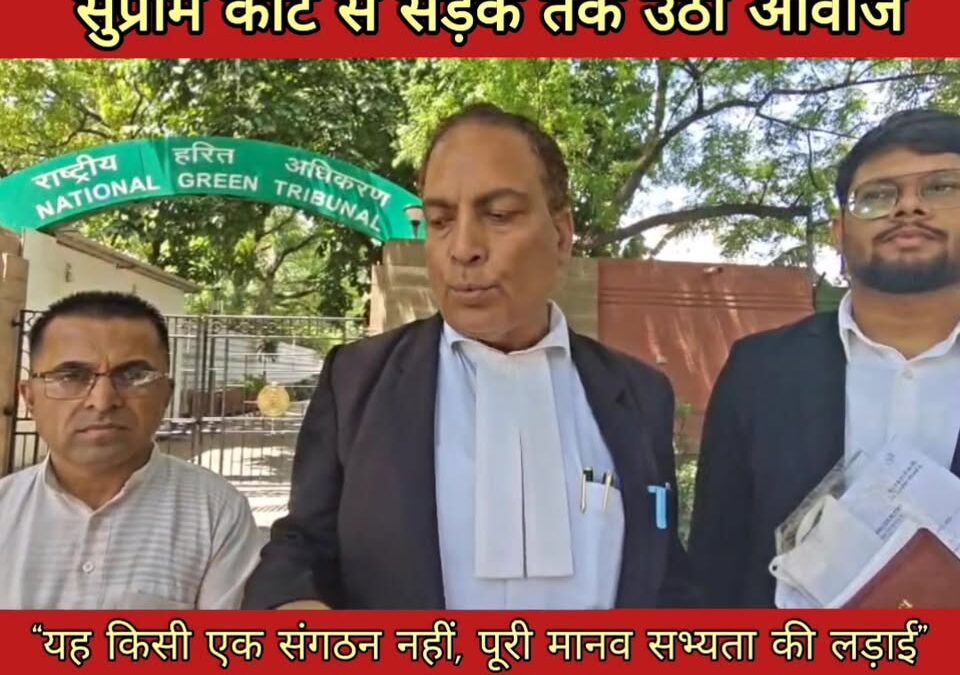 जस्टिस फॉर देवात्मा हिमालय की लड़ाई सड़क से लेकर सुप्रीम कोर्ट राष्ट्रीय हरित प्…