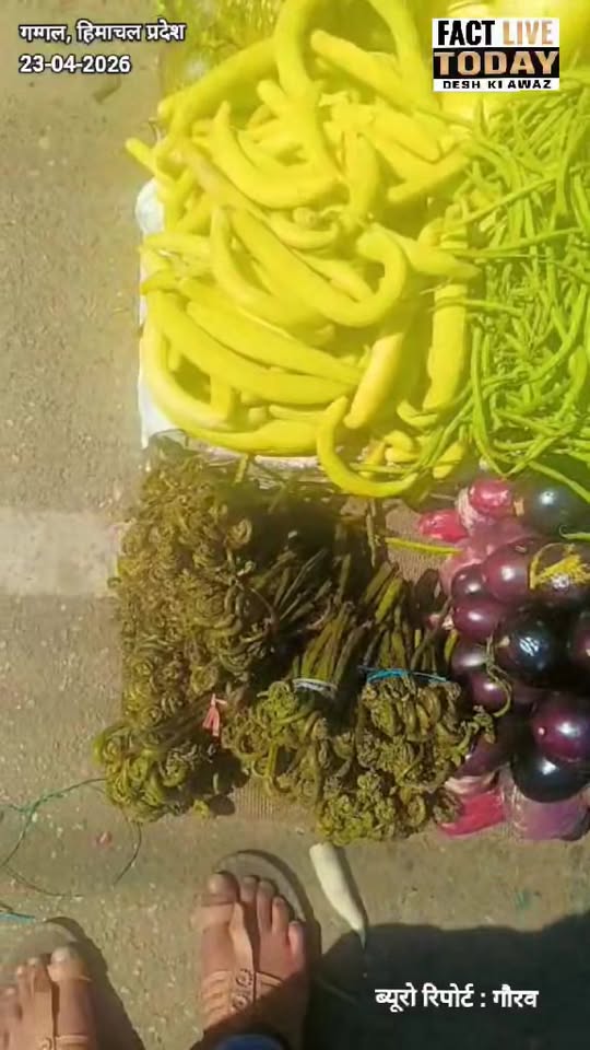 बाजार में सब्जी की कीमतों को लेकर सीधा लाइव 
#factlivetoday #Omaxhospital #harya…