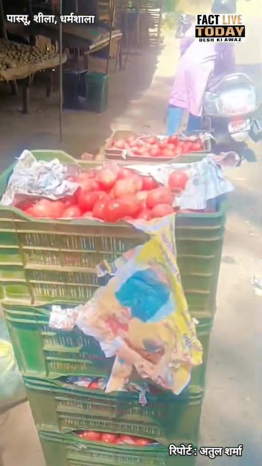 आज के फल,सब्जियों के दाम 24/04/2026
पास्सू, शीला, धर्मशाला से लाइव रिपोर्ट 
#fac…