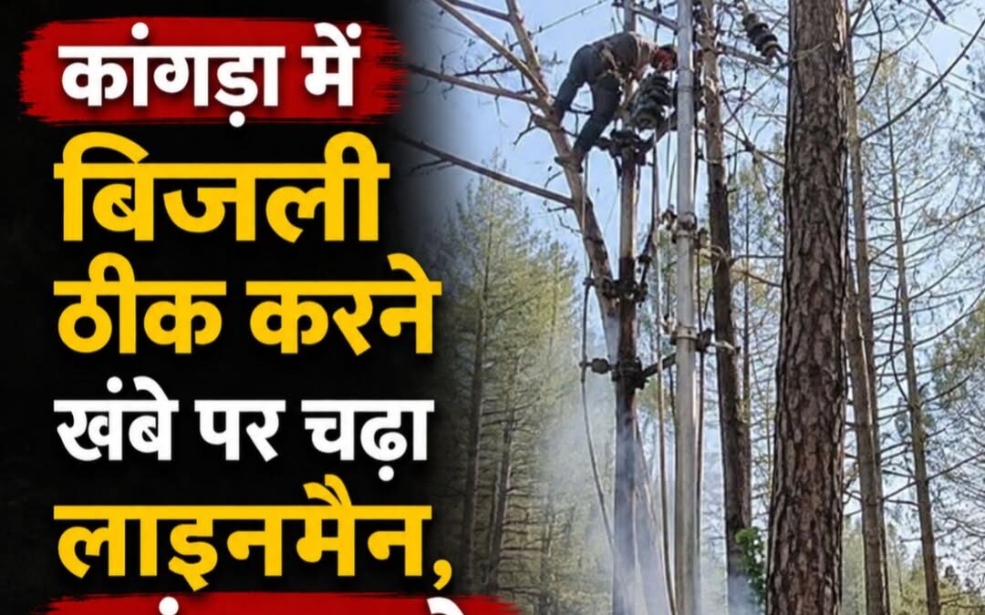 विद्युत उपमंडल विंद्रावन में बतौर लाइनमैन कार्यरत मोहन लाल उर्फ मोनू निवासी रानी…