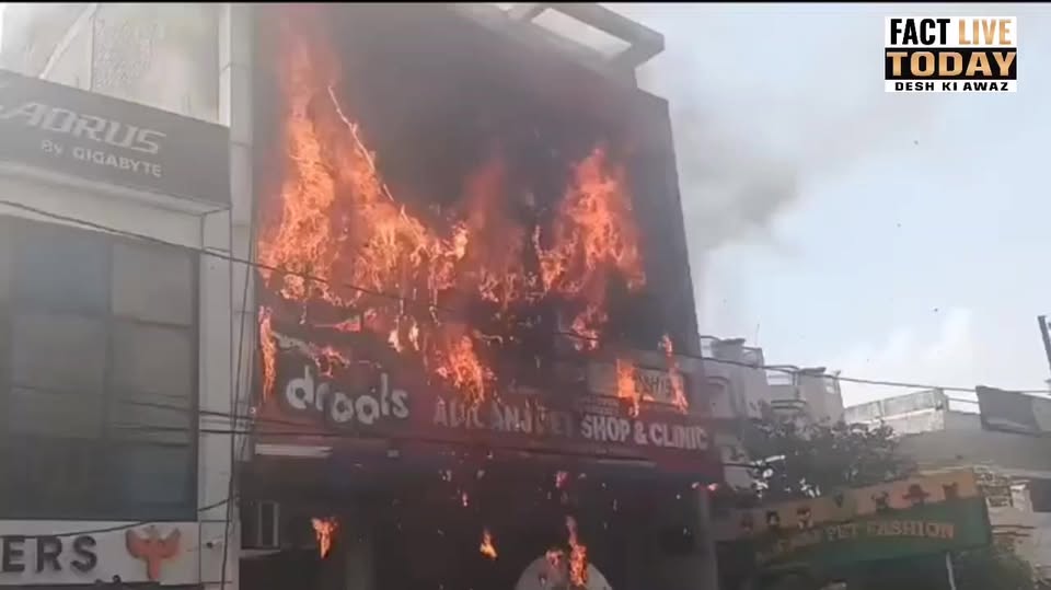 UP BREAKING: जिंदा जले 13 बच्चे

यूपी के राजधानी लखनऊ के अलीगंज में बड़ा हादसा ह…