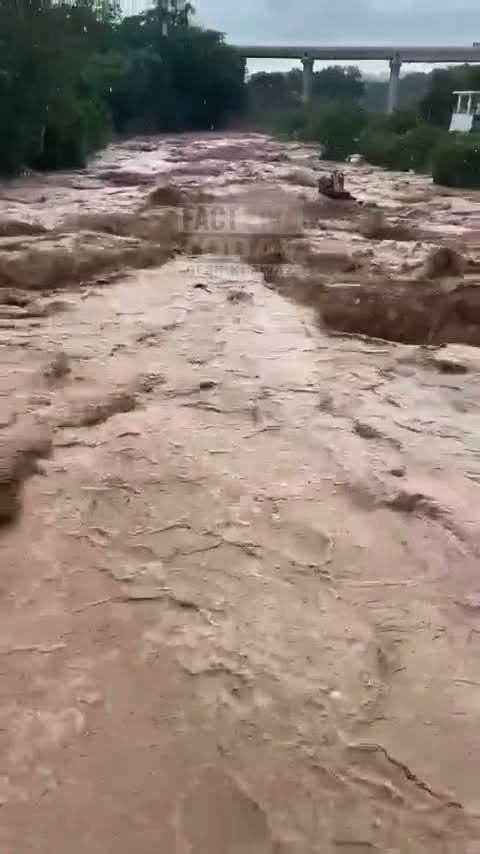 शाहपुर: पुहाड़ा खोली खड्ड में शव मिलने की सूचना, लंज के पास बरामदगी का दावा; महि…